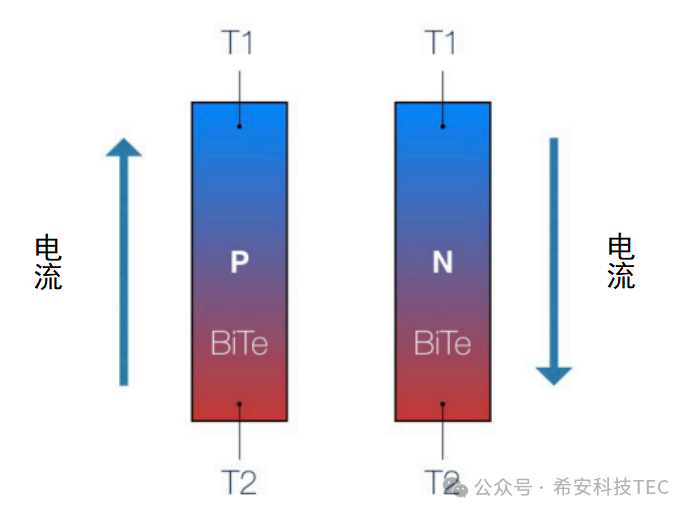 كيف يعمل المجلس التنفيذي؟